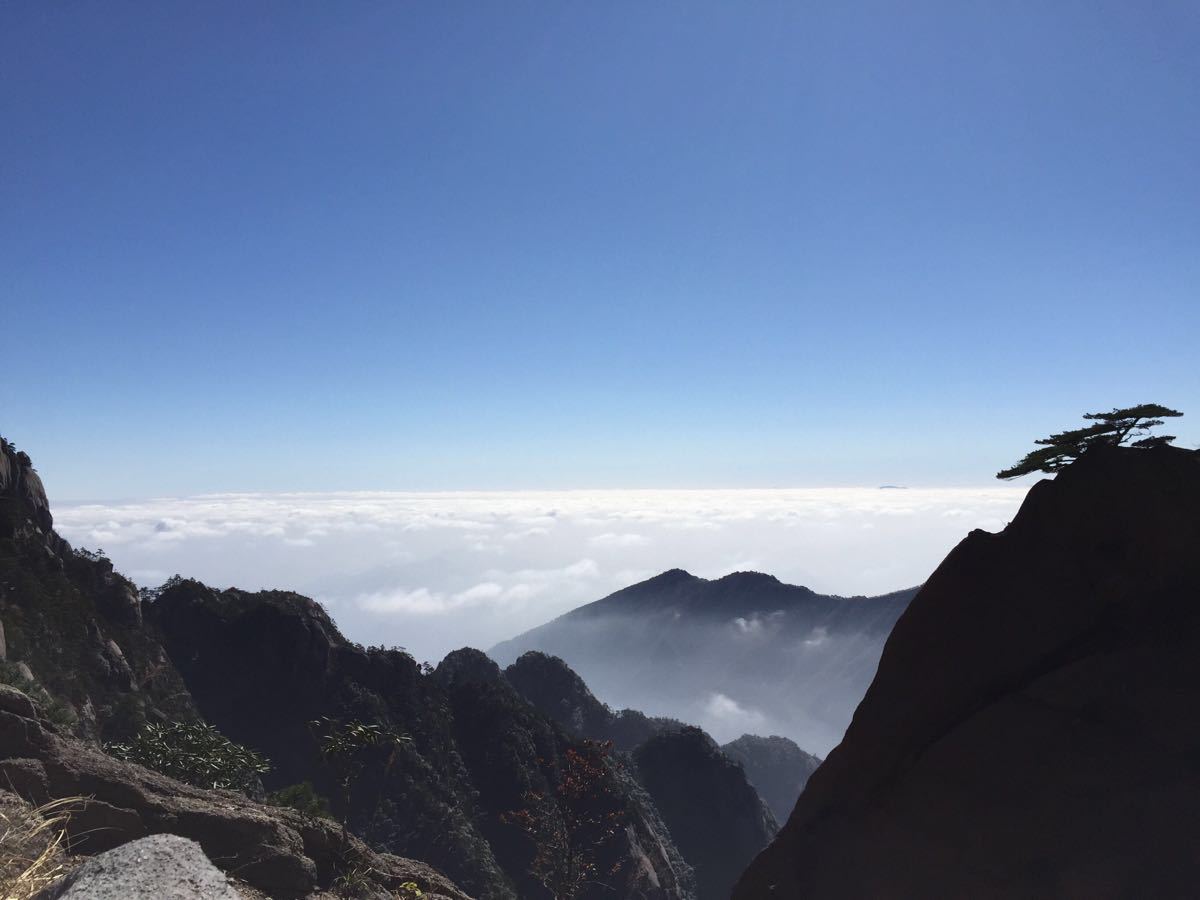 重大消息！今日起招標新規(guī)正式實施，低于100萬的勘察、設計、監(jiān)理；低于400萬工程將不再需要招標！